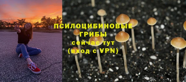 винт Белокуриха