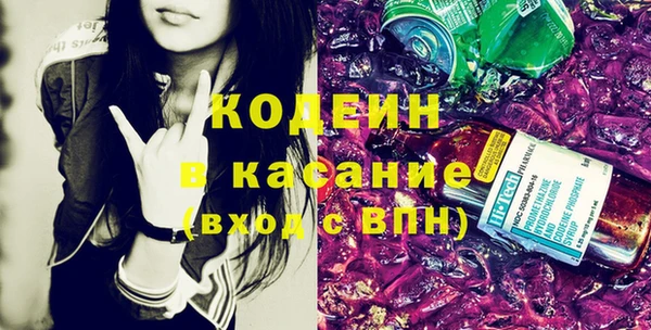 индика Богородск